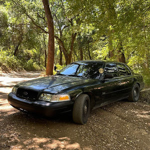 Meet your Posher, Carmen